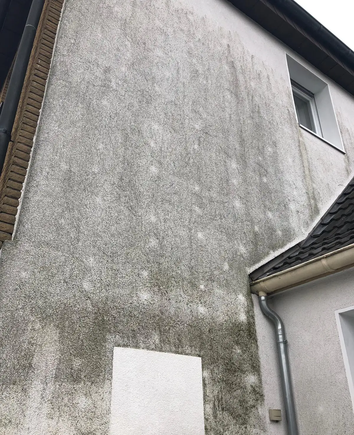 Gereinigte Testfläche an einer Hausfassade