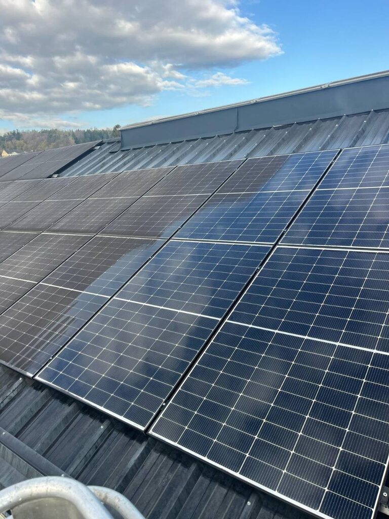 Photovoltaikmodule auf einem geneigten Dach